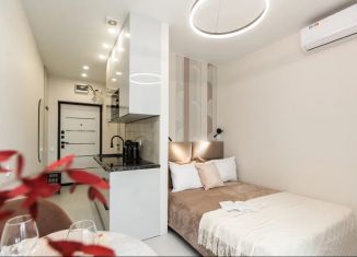 Сдается в аренду квартира студия, 18 м2, Сочи, Ясногорская улица, 16/2к7, микрорайон Бытха