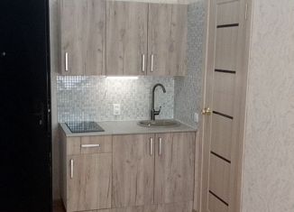 Продается квартира студия, 18.7 м2, Нижний Новгород, проспект Кирова, 5, Автозаводский район