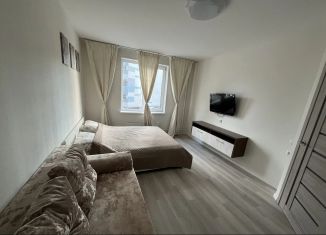 Сдам в аренду 1-комнатную квартиру, 33 м2, Нижний Новгород, улица 40 лет Победы, 19