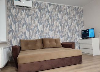 Квартира на продажу студия, 28 м2, Краснодар, улица Красных Партизан, 1/4к12, улица Красных Партизан