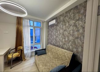 Сдаю квартиру студию, 31.1 м2, село Орёл-Изумруд, улица Лазурная Долина, 85Б