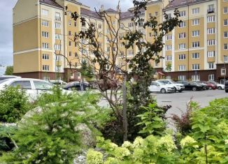 2-ком. квартира на продажу, 75.3 м2, Калининград, улица Александра Невского, 192к1, ЖК на Арсенальной