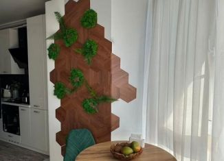 Продается многокомнатная квартира, 30.8 м2, село Орёл-Изумруд, Петрозаводская улица, 26/5