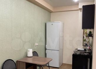 Продаю квартиру студию, 24.5 м2, рабочий поселок Маркова, микрорайон Берёзовый, 203