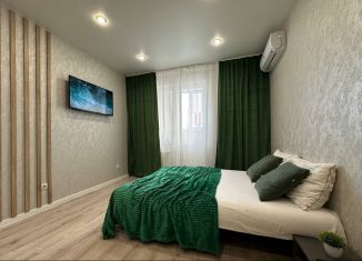 Сдача в аренду квартиры студии, 27 м2, Оренбургская область, улица Автомобилистов, 13