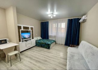 Сдается в аренду квартира студия, 30 м2, Краснодар, Домбайская улица, 10, микрорайон ККБ