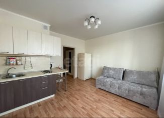 Аренда квартиры студии, 24 м2, Тюмень, ЖК Новый Мыс 2.0, Газопромысловая улица, 8