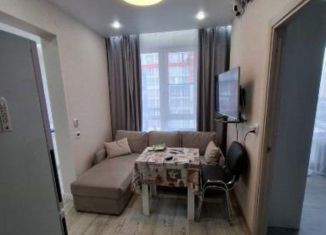 Сдам в аренду двухкомнатную квартиру, 45 м2, Сочи, Пластунская улица, 123, микрорайон Заречный