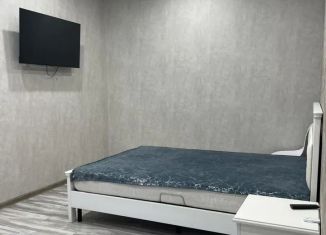 Сдаю 1-комнатную квартиру, 36 м2, Краснодар, Тепличная улица, 62/1к1, микрорайон Завод Радиоизмерительных Приборов