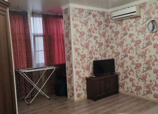 2-комнатная квартира в аренду, 48 м2, Сириус, улица Тюльпанов, 1/3