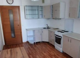 Сдается 1-комнатная квартира, 40.3 м2, Екатеринбург, улица Гастелло, 32А