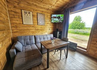 Сдается в аренду дом, 48 м2, Псковская область