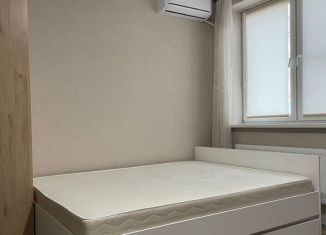 Квартира в аренду студия, 24 м2, Ростов-на-Дону, переулок Чаленко, 9/1, ЖК Западная Резиденция