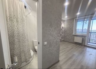 Продаю квартиру студию, 28 м2, деревня Ивановское, улица Семёна Гордого, 10