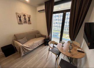 Аренда квартиры студии, 18 м2, Сочи, Ясногорская улица, 16/2к6, микрорайон Бытха