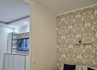 Сдача в аренду однокомнатной квартиры, 38 м2, Йошкар-Ола, улица Петрова, 31А, микрорайон Молодёжный