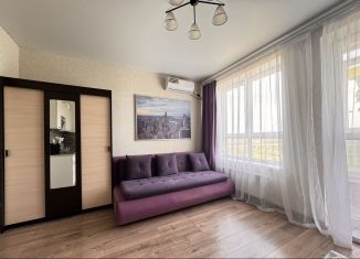 Аренда квартиры студии, 27 м2, Ростов-на-Дону, переулок Чаленко, 17/1, ЖК Западная Резиденция