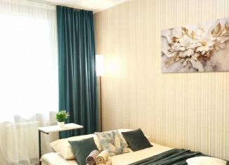 Сдача в аренду 1-ком. квартиры, 32 м2, Хабаровск, Вяземская улица, 3