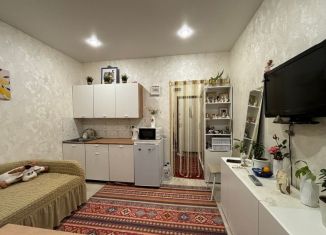 Продажа квартиры студии, 22 м2, деревня Ивановское, улица Семёна Гордого, 10