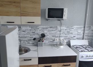 1-ком. квартира на продажу, 30 м2, Сухой Лог, улица Белинского, 54Г