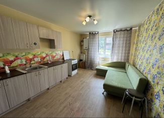 Сдается в аренду двухкомнатная квартира, 77 м2, деревня Куюки, улица 5-й Квартал, 4