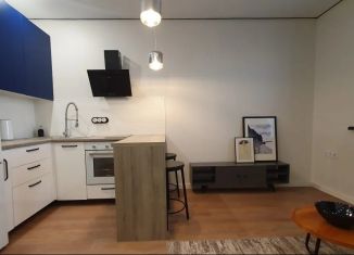 Продаю однокомнатную квартиру, 45 м2, Челябинск, проспект Героя России Е.Н. Родионова, 13, ЖК Ньютон