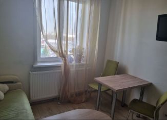 Продаю 1-ком. квартиру, 42.2 м2, Новосибирск, Узловая улица, 8/1, метро Золотая Нива