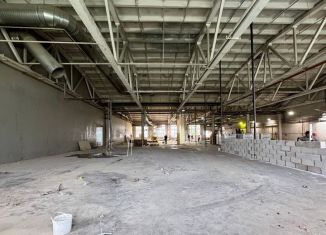 Помещение свободного назначения на продажу, 1040 м2, Санкт-Петербург, улица Самойловой, 5А, Фрунзенский район