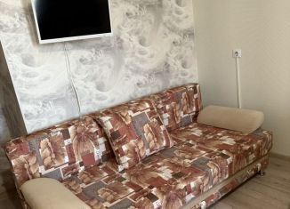 Сдаю в аренду однокомнатную квартиру, 47 м2, Республика Башкортостан, улица Ляйлы Марданшиной, 2