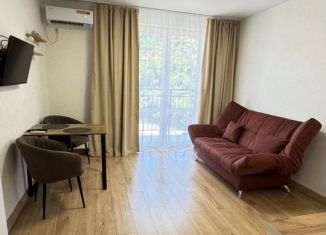 Сдам квартиру студию, 23 м2, Сочи, улица Искры, 88к1, микрорайон Кудепста