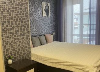 Сдача в аренду 1-ком. квартиры, 24 м2, Чусовой, улица Ленина, 53