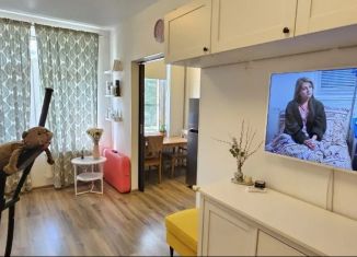 1-ком. квартира на продажу, 28.6 м2, деревня Горки, Туровская улица, 2