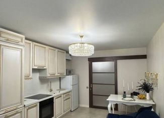 Сдаю в аренду однокомнатную квартиру, 47 м2, Сочи, улица Ленина, 180А, микрорайон Голубые Дали