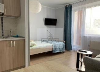 Продается квартира студия, 24.5 м2, Челябинская область, Вознесенская улица, 11