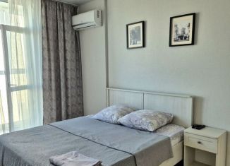 Сдается в аренду 1-комнатная квартира, 33 м2, Ростов-на-Дону, улица Мечникова, 37, Ленинский район