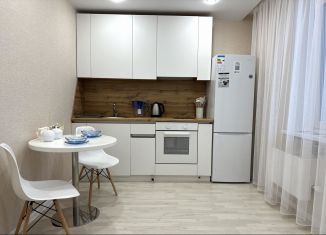 1-комнатная квартира в аренду, 45 м2, Тюмень, улица Валентины Трофимовой, 13, Восточный округ