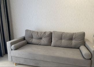 Сдача в аренду квартиры студии, 34 м2, Пермь, улица Герцена, 4А, Дзержинский район