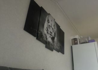 Продажа квартиры студии, 30 м2, Республика Алтай, улица Берёзовая Роща, 9к3