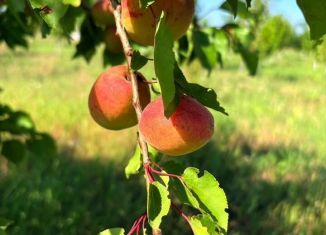 Продажа участка, 5.9 сот., посёлок Пятихатки, Скифская улица