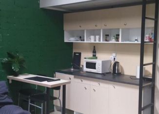 Продам квартиру студию, 24 м2, Псков, улица Ижорского Батальона, 57А