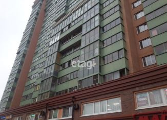 Квартира на продажу студия, 26 м2, посёлок Шушары, Первомайская улица, 5к1