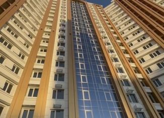 Сдаю в аренду помещение свободного назначения, 186 м2, Чечня, улица Тельмана, 8