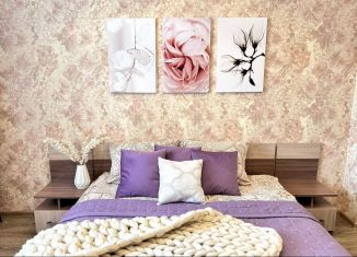 Аренда двухкомнатной квартиры, 50 м2, Биробиджан, улица 40 лет Победы, 6А