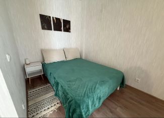 Сдаю квартиру студию, 28 м2, Пермь, Сапфирная улица