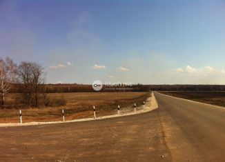 Продажа земельного участка, 11 сот., посёлок Мысовский, Хвойная улица, 13