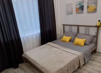 Аренда квартиры студии, 18 м2, Мурино, Ручьёвский проспект, 2