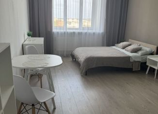 Сдаю в аренду квартиру студию, 26 м2, Пермь, улица Куйбышева, 109А