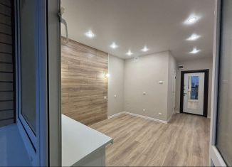 Продам квартиру студию, 23 м2, деревня Ивановское, улица Семёна Гордого, 10