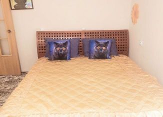 Сдача в аренду 1-комнатной квартиры, 38 м2, Камчатский край, проспект Рыбаков