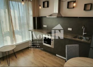 Продается квартира студия, 25.9 м2, посёлок Парголово, Толубеевский проезд, 8к2